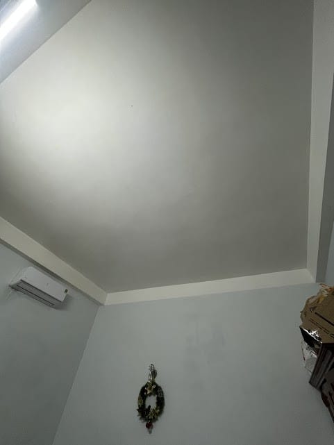 tẩy mốc tường Đà Nẵng