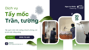 tẩy mốc tường Đà Nẵng