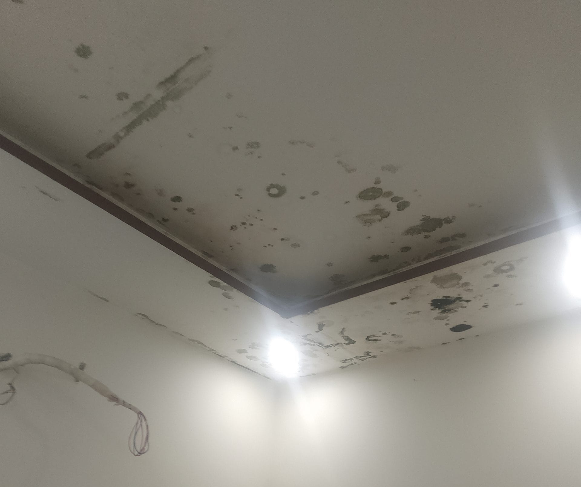 trần nhà chưa tẩy mốc