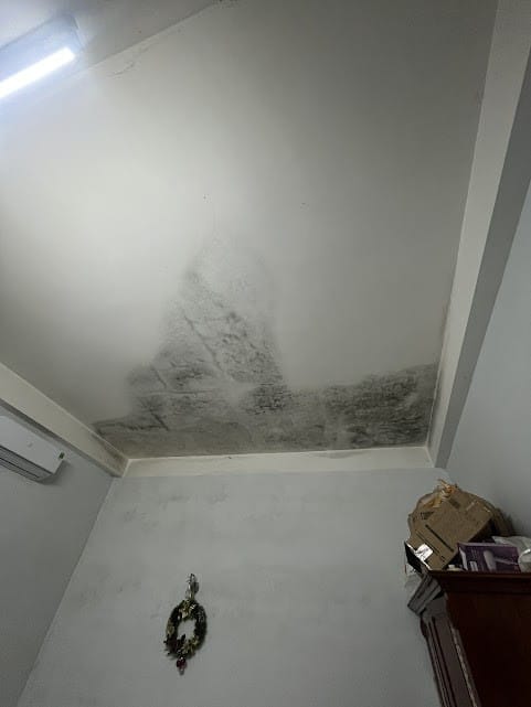 tẩy mốc tường